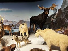 -陕西自然博物馆