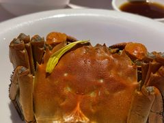 -蟹榭(静安寺晶品商场店)