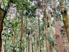 -雁荡山风景名胜区