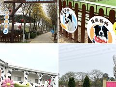 -盈香心动乐园