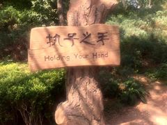 -燕窝岭