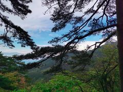 -黄山风景区