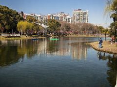 -新江湾城公园