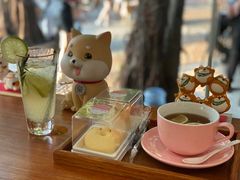 -柴犬高等学院·狗咖·柴犬售卖·宠物训练