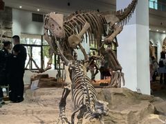 -自贡恐龙博物馆