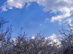 -广州市流溪河国家森林公园