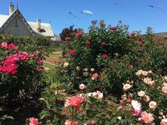 -洪湖湿地生态园