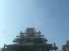 -千年银杏谷文化旅游区