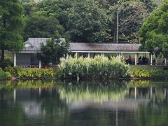 -四海公园(南山区)