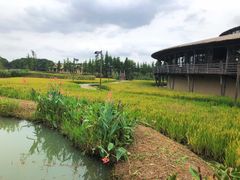 -乌村