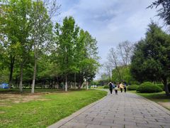 -大蜀山国家森林公园