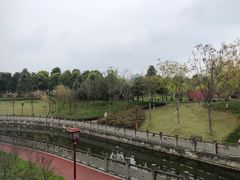 -眉山湿地公园(东坡区)