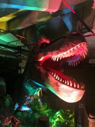 -恐龙探索乐园(磁器口店)