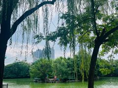 -郑州市动物园