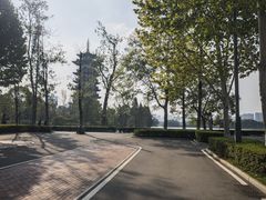 -洋湖国家湿地公园