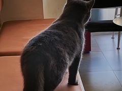 -益杯半舍·Yippee Barseh(宇宏健康花城店)