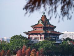 -顺峰山公园