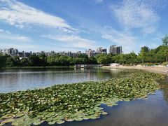 -新江湾城公园