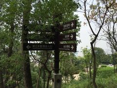 -铁山坪森林公园