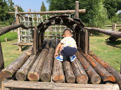 -田园东方蜜桃村的田野营地
