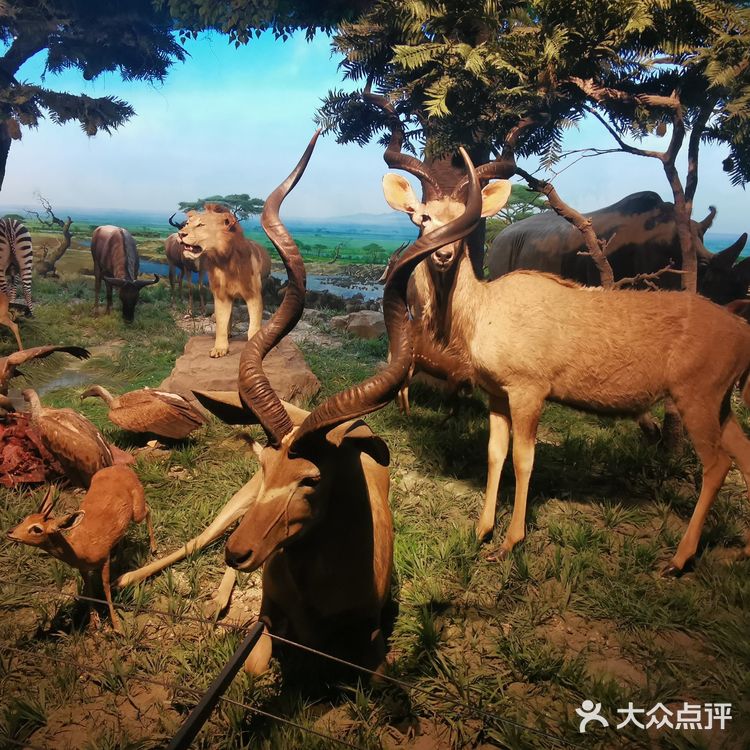 妈妈再也不用担心我五谷不分了