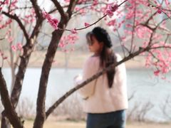 -长广溪湿地公园