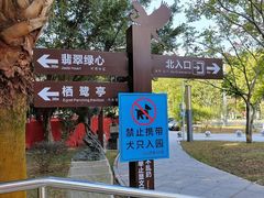 -大亚湾红树林城市湿地公园