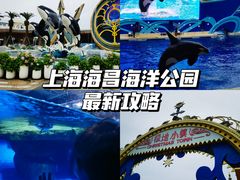 -上海海昌海洋公园