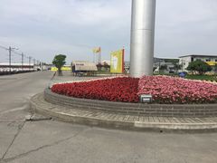 -胜华驾校·小猫学车(银都店)