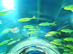 -福州罗源湾海洋世界旅游区