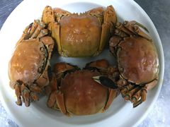 -丫丫蟹庄·苏式园林农家乐·阳澄湖大闸蟹(阳澄湖莲花岛店)