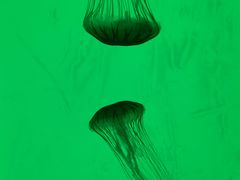 -沈阳海洋探索中心