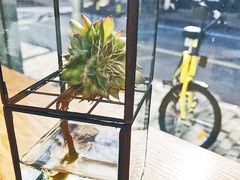 -Onirii Coffee(长乐路店)