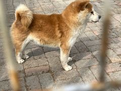 -清风小镇闯关东影视基地