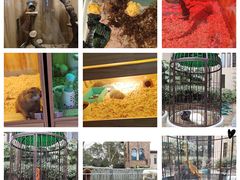 -上海崇明金茂凯悦酒店