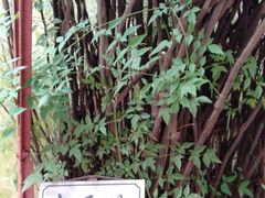 -乌镇东栅景区-茅盾故居