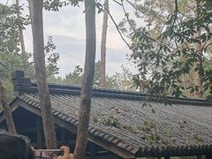 -千岛湖石林