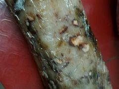 -金栗王(清扬路店)