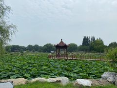 -稻香湖景欢乐岛温泉城堡