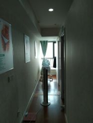 -莱可美科技美肤