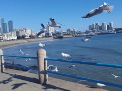 -青岛海滨风景区