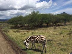 -卡塞拉自然公园