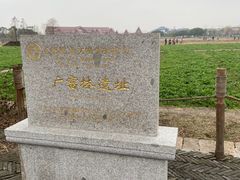 -广富林郊野公园
