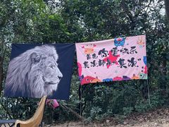 -火炉山森林公园