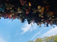 -成都娃娃花园餐厅 (南艺旗舰店)