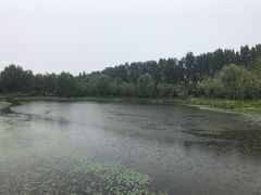 -东郊湿地公园