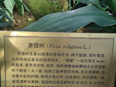 -国家植物园南园