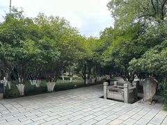 -八大山人梅湖景区