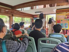 -皇家御河游(紫御湾码头)