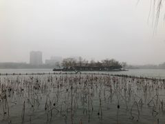 -济南富力凯悦酒店